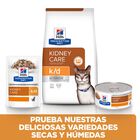 Hill's Prescription Diet Kidney Care Salmão saqueta em molho para gatos, , large image number null